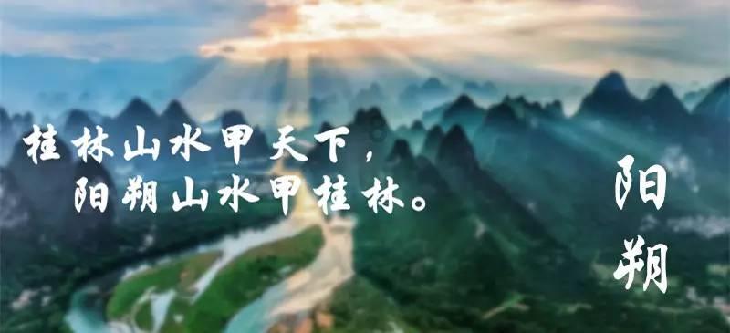 鸟鸣攻击
